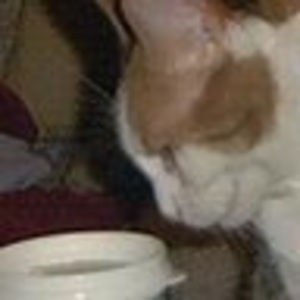 Meet your Posher, Marty